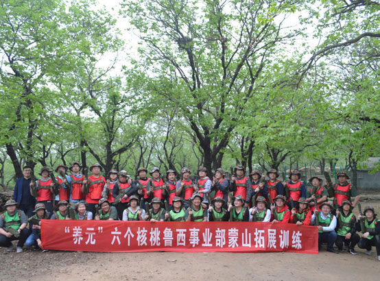 養(yǎng)元六個核桃魯西事業(yè)部